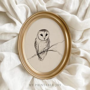 Barn Owl Sketch Art – Spooky Woodland Bird Pencil Drawing Vintage Style Wall Art Rustic Cottagecore Nature Decor 74