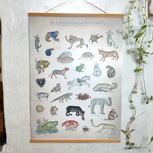 Medieval Natural Bestiary poster | Large high-quality wall decor | historic funny animal infographic print | Marginalia