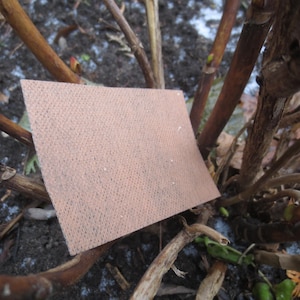 Può includere: Primo piano di una toppa rettangolare marrone con una superficie testurizzata. La toppa è appoggiata su un letto di ramoscelli e rami marroni.