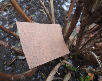 Healing patches with scorpion Venom Extract (Energically Treated)