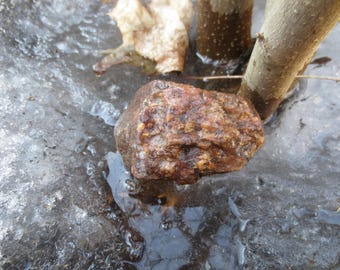 Sacred Forest Stone – A Protective Talisman