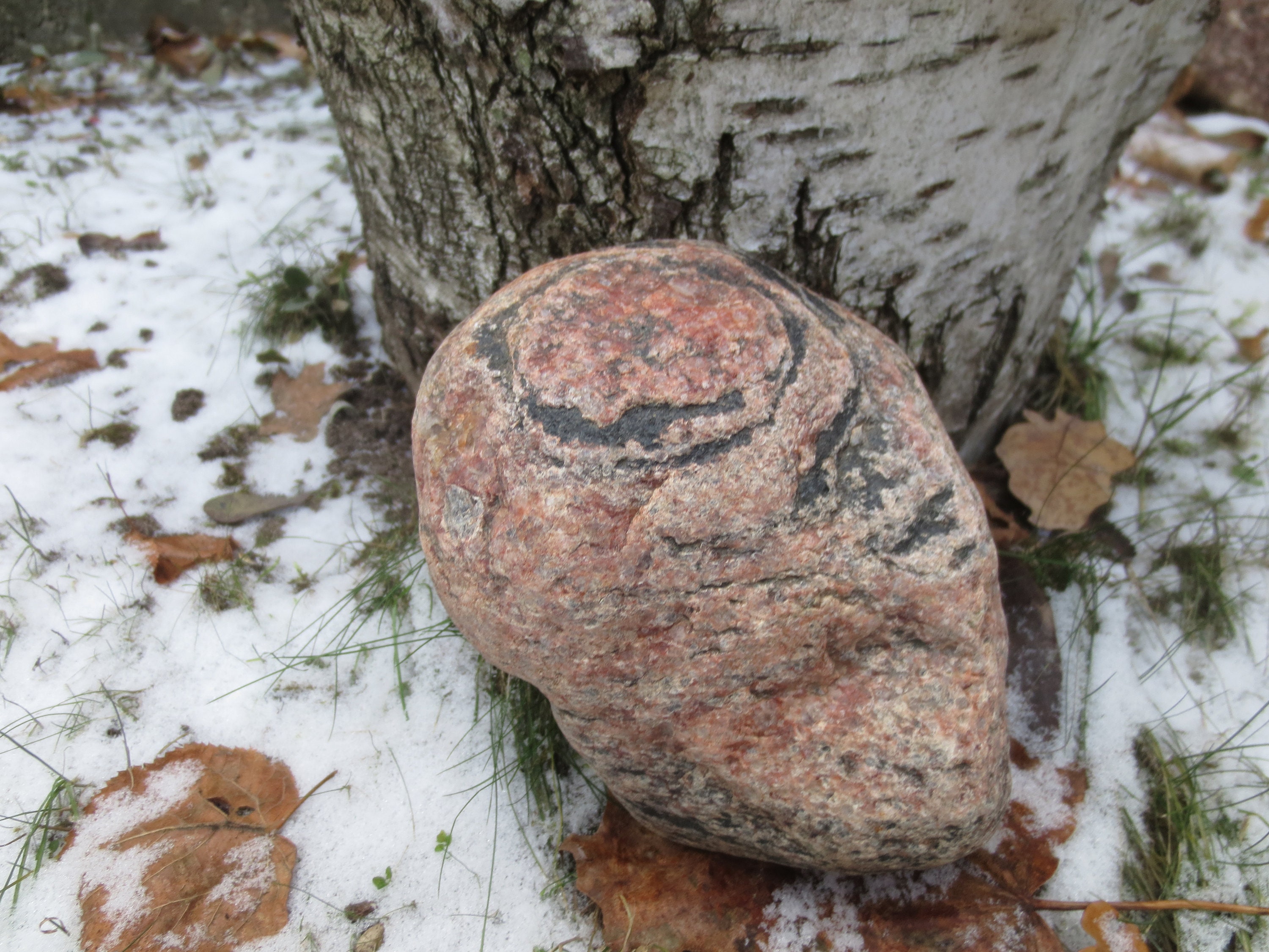 Holy Stone