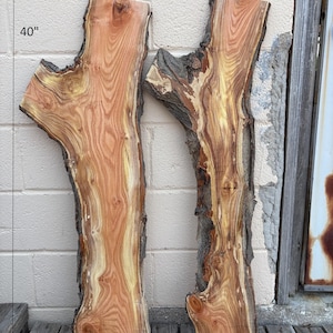 Honey Locust Live Edge Boards / Wood for Making Signs, Cutting Boards, River Table Top, Shelves, Hard Craft Slice Wood Pieces Natural Edge