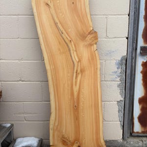Thick Lighter Colored Wood Slab Coffee Table Size Knotty Bark Live Edge Tree Slice, Very Thick