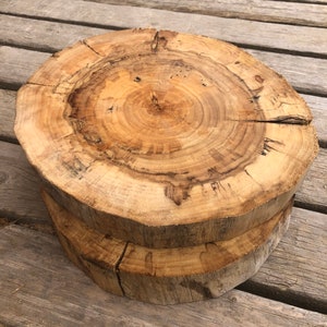 Small Cotton Wood Cookie Slabs, Circles and Rounds, 1 Foot Diamter - Etsy