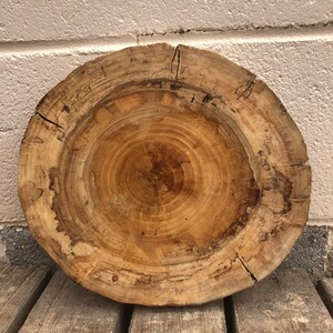 Small Cotton Wood Cookie Slabs, Circles and Rounds, 1 Foot Diamter - Etsy