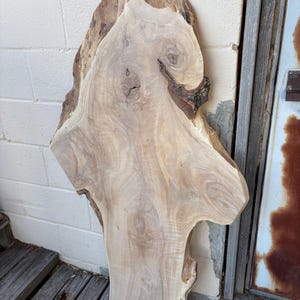 May include: A large, irregular live edge wood slab featuring a light tan surface with visible natural grain patterns, swirling wood knots, and dark brown bark remnants along the uneven, organic outer edges of the piece of timber.