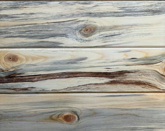 Tongue and Groove Siding Wall Accent Décor Projects Interlocking Connecting Wood Beetle Kill Blue Pine