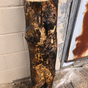 May include: A close-up of a rough-hewn log with a natural, rustic finish. The log has a dark brown bark with patches of lighter wood showing through. The log is about 12 inches in diameter and 24 inches long.