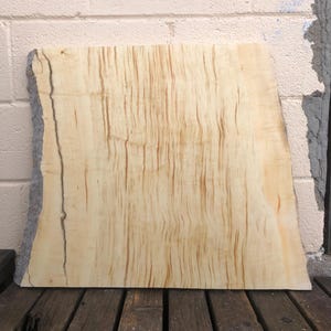May include: A large piece of wood with a natural, live edge. The wood has a light brown color with a distinctive grain pattern.