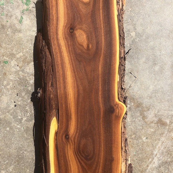 Russian Olive Live Edge Boards / Wood for Making Signs, Cutting Boards, River Table Tops, Shelves, and more / Craft Wood Art / Natural Color