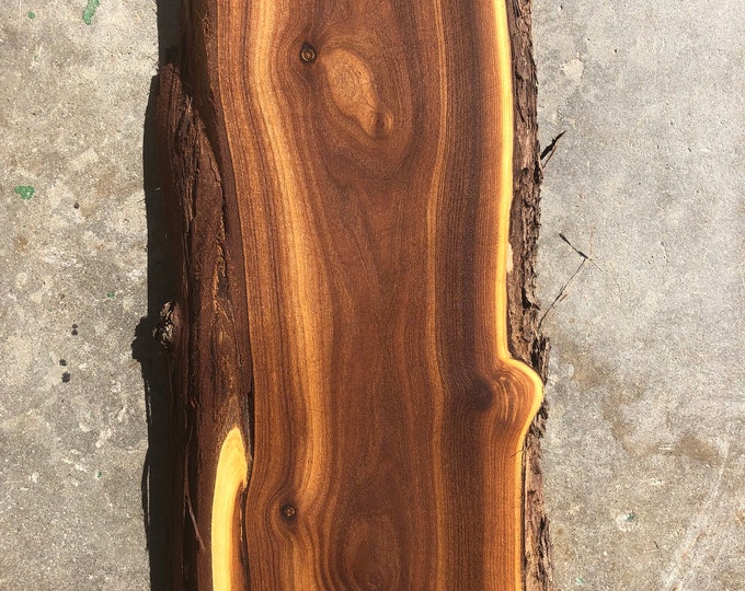 Russian Olive Live Edge Boards / Wood for Making Signs, Cutting Boards, River Table Tops, Shelves, and more / Craft Wood Art / Natural Color