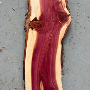 May include: A close-up of a piece of wood with a natural edge. The wood has a reddish-brown color with a light brown center. The wood has a unique grain pattern.