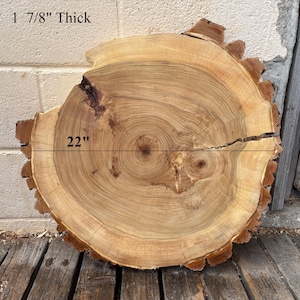 May include: A cross-section of a tree trunk, featuring a natural wood grain pattern. The piece is approximately 22 inches in diameter and 1 7/8 inches thick. The bark edge is visible, and the wood has a light brown color.