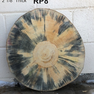 May include: A cross-section of a tree trunk, 2 1/8" thick, with concentric rings and a radial pattern of dark blue and tan hues. The text "RP8" is visible. The wood slice has a natural, rustic appearance, suitable for various craft projects.