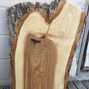 May include: A natural wood slab with a light brown and tan color. The live edge bark is dark brown and textured. The wood grain is visible, with a knot and a crack in the center. This slab is suitable for woodworking projects.