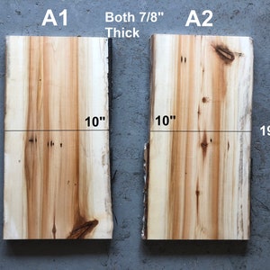 May include: Two pieces of wood, labeled A1 and A2, both 7/8 inch thick. A1 is 10 inches by 10 inches. A2 is 10 inches by 19 inches.