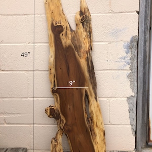 May include: A large, natural wood slab with a unique shape and grain pattern. The slab is 49 inches tall, 9 inches wide, and 3/4 inch thick. It is a light brown color with darker brown streaks and knots. The slab is leaning against a white brick wall.