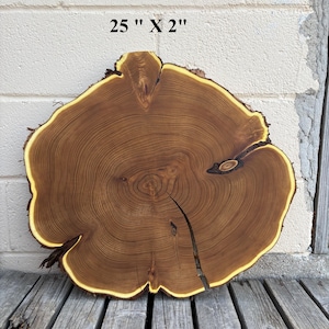 Wood Round Pieces with Dark Brown Black Grain Patterns Slices Russian Olive Circles