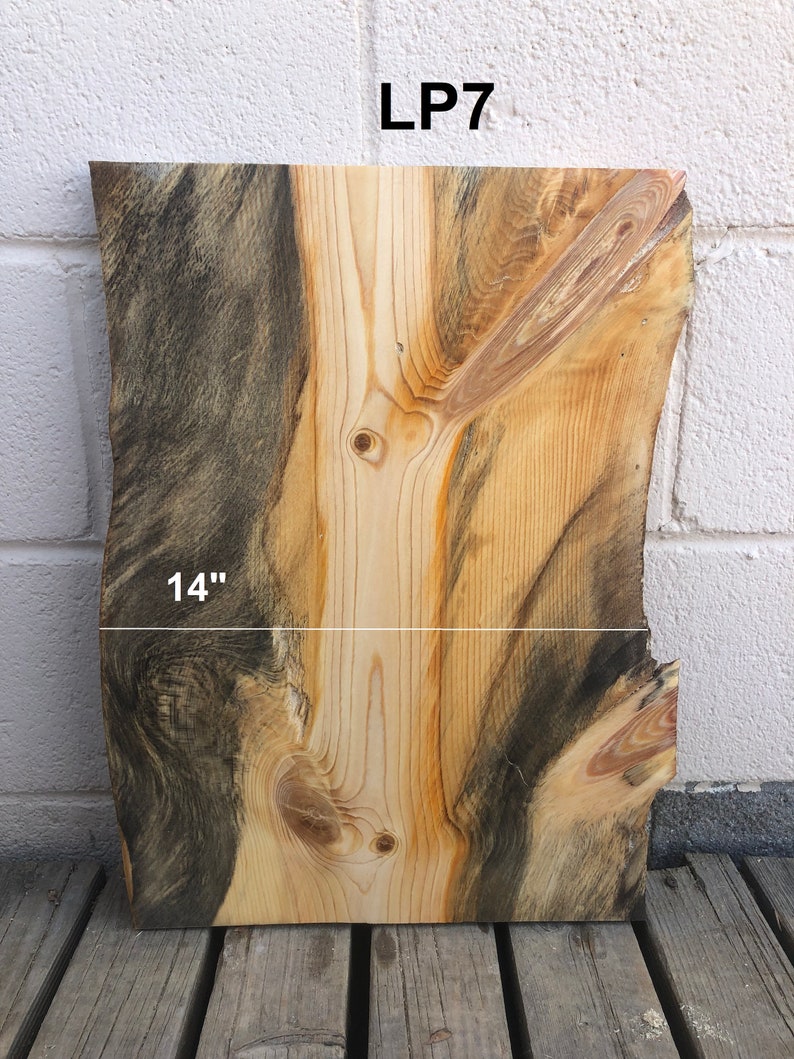 Blue Stain Pine Live Edge Slabs Etsy