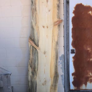 May include: A large, light wood slab with a natural edge and a dark blue and brown stain running down the center. The wood has a natural grain pattern and is approximately 4 feet long.