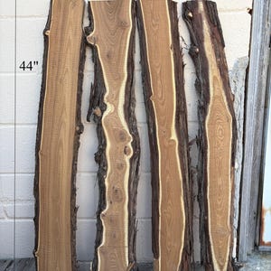 May include: Bundle 4 of four unfinished wood slabs. Each slab is approximately 44 inches long, 5 inches wide, and 1 inch thick. The wood has a natural edge with dark brown bark and a light brown interior.