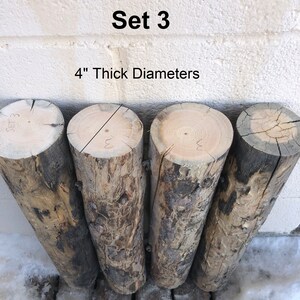 Character Wood Posts, Very Fancy Rustic Western, Boring Beetles Tracked ...