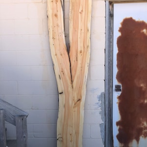 May include: A large, light brown wood slab with a natural edge and a unique Y-shaped grain pattern. The slab is leaning against a white brick wall.