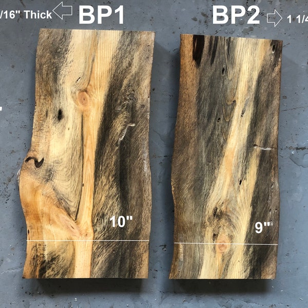 Live Edge Blue Stain Pine Mini Slabs