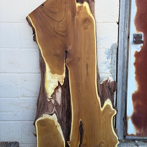 Puede incluir: Una losa de madera grande, de forma irregular, con un borde natural. La madera presenta un color marrón cálido y rico con acentos amarillos claros y crema a lo largo de los bordes y dentro de la veta. La losa tiene una textura rugosa y sin terminar.