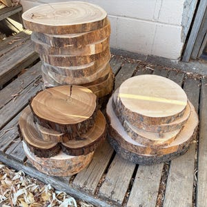 May include: Several stacks of natural wood slices with bark edges. The wood rounds vary in size and are arranged on a wooden surface. The wood slices are light brown with visible growth rings.