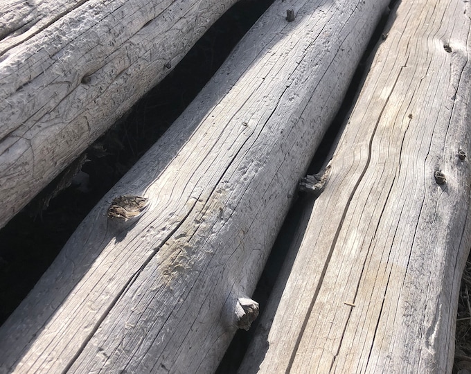 Logs And Posts Logs Poles and Posts of Reclaimed Weathered Antique Grey Old Cracking ...
