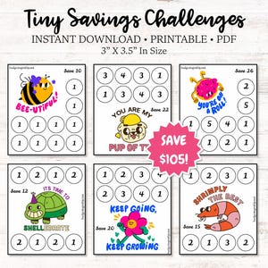 Tiny Savings Challenges ~ 105 In Total Savings ~ Low Budget ~ PDF