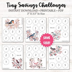 Kleine besparingsuitdagingen: bespaar 88 dollar, afdrukbaar, 3 x 3,5 inch (pdf)