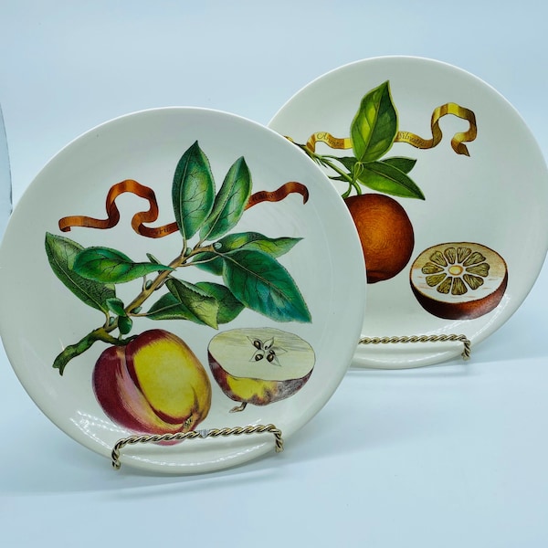Villeroy & Boch two porcelain fruit plates made in Luxemburg Apple Orange Harvest Decor
