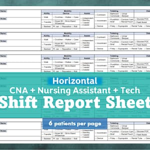 CNA/Nursing Assistant/Tech Shift Report Sheet