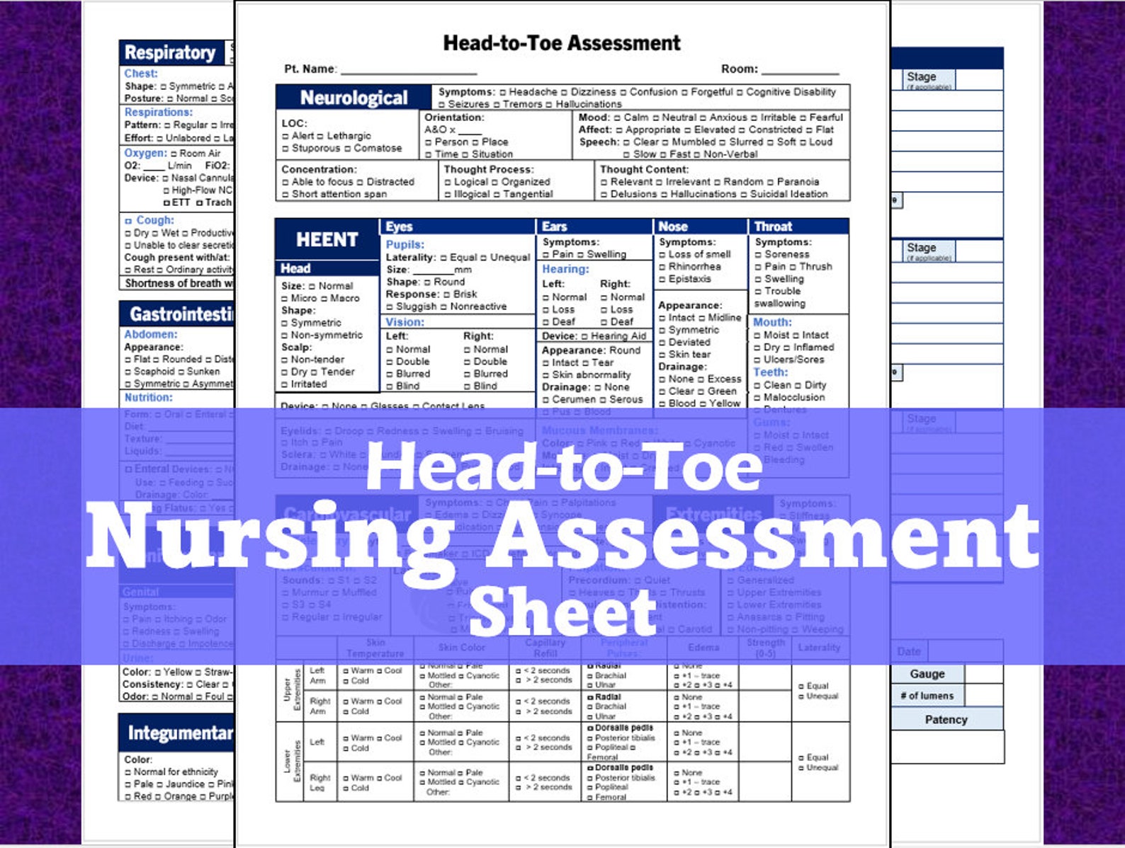 Head to Toe Nursing Assessment Sheet - Etsy