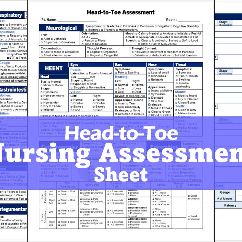 Nursing Assessment - Etsy