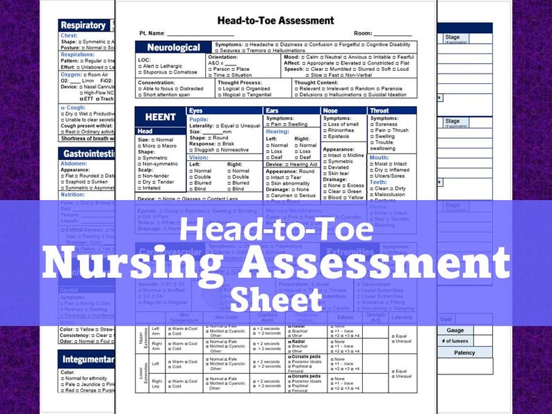 Head to Toe Nursing Assessment Sheet - Etsy