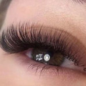 14D Premade Volume Fans Individual Lashes 8 -15mm Mink Russian Volume Fan Eyelash Extension