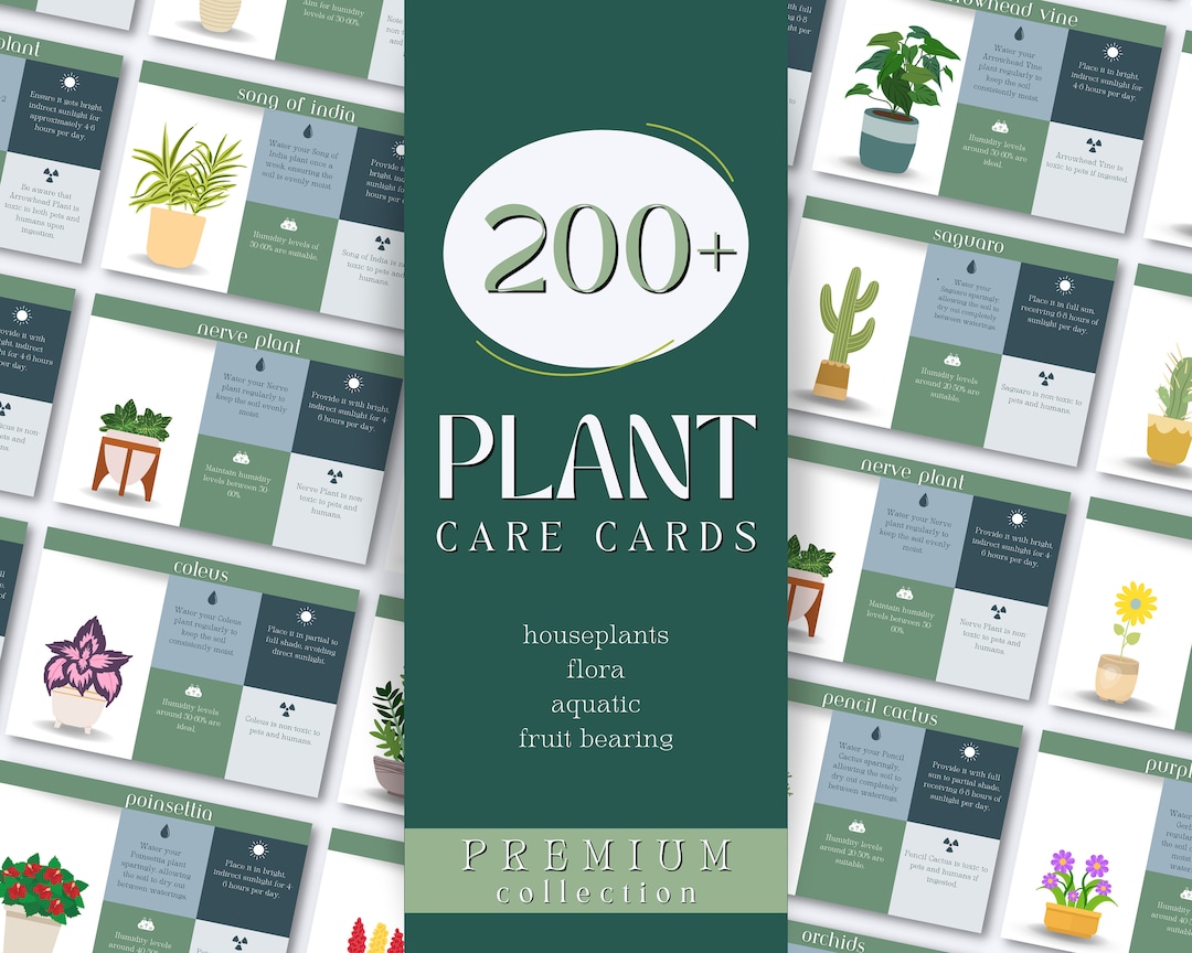Plant Care Cards for Houseplants, Floral Plants, Aquatic Plants, Fruit ...