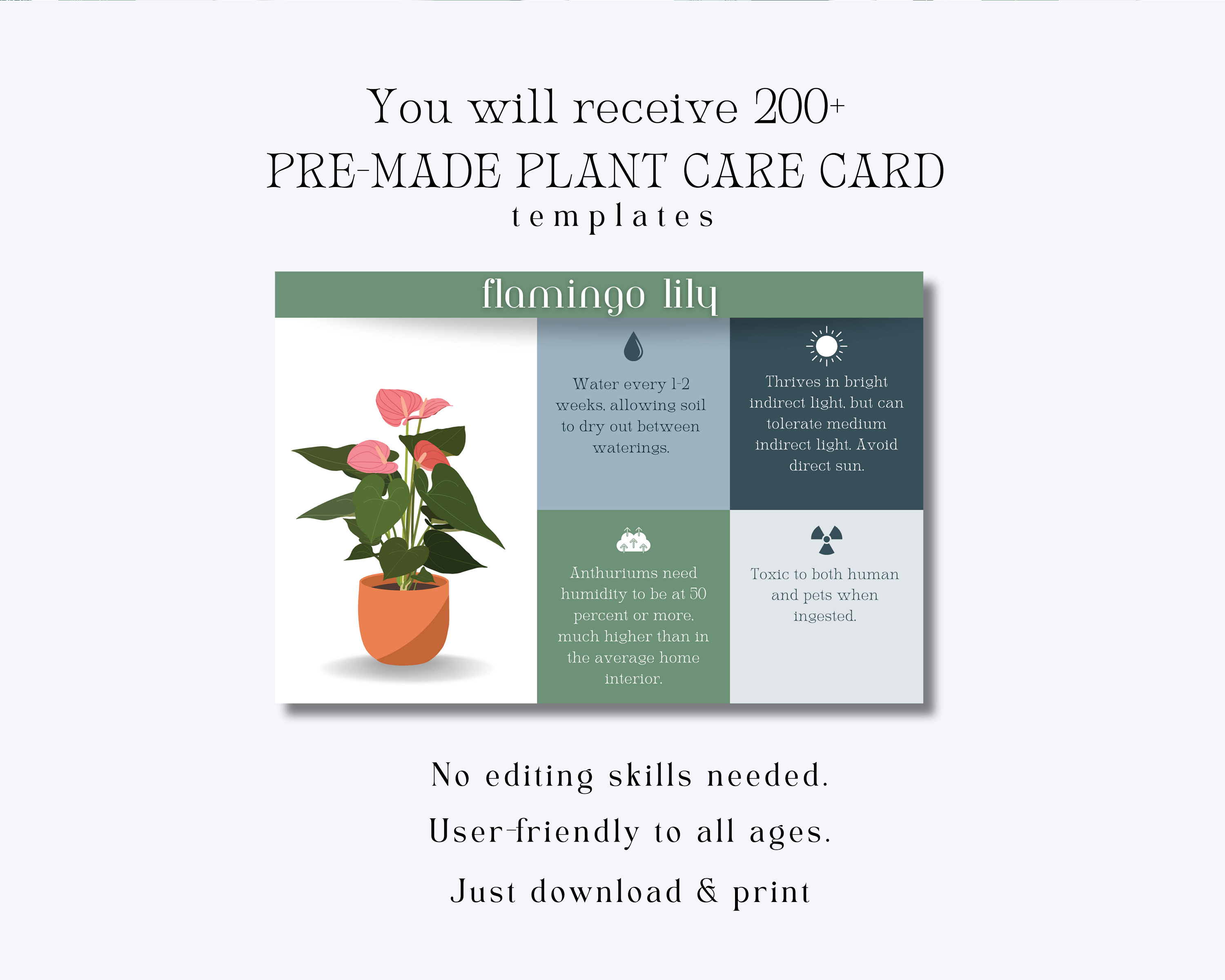 Plant Care Cards for Houseplants, Floral Plants, Aquatic Plants, Fruit