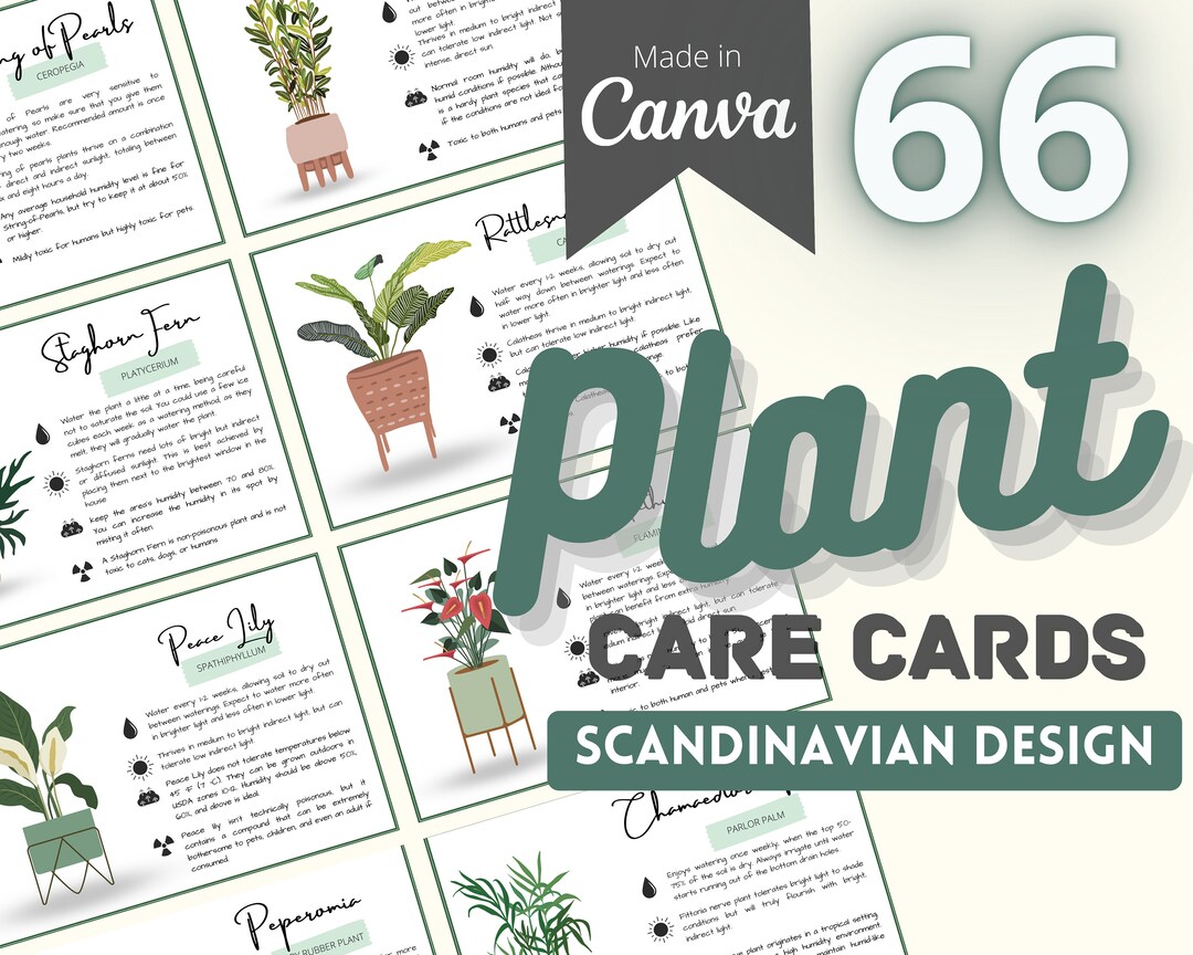Houseplant Plant Care Cards Plant Label Printable Common Houseplants