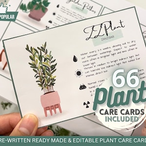 Tarjetas para el cuidado de plantas de interior / Etiquetas para plantas / Imprimibles / Plantas de interior comunes / Preescritas / Canva / Verde / Jardín / Naturaleza / Guía de suculentas