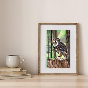 Owl Digital Print | Wildlife Animal Printable Wall Art | Instant Download Digital Painting | Rustic Nature Decor