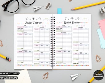Budget Overview Cash Envelope Planner Printable, Budget, INSTANT DOWNLOAD, Classic Happy Planner, A3, A4, A5, Letter Size