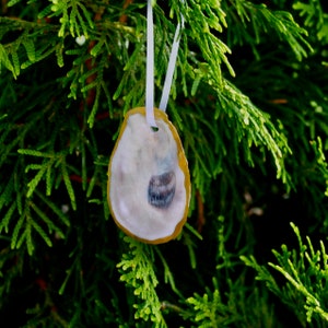 Custom oyster shell ornament