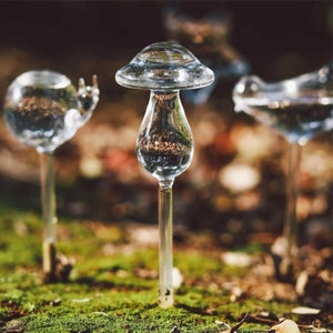 Self watering globes -  France