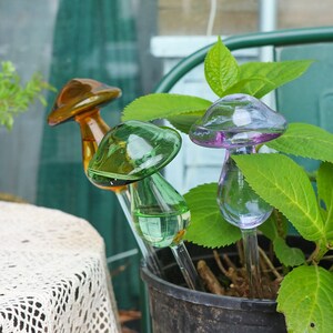 Mushroom Plants Self Watering Mushroom Glass Glob,  Mushroom Self Watering Glass Glob, Self Watering Multi Colour Mushroom/Birds Glob