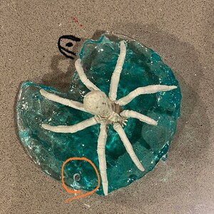 May include: A translucent blue, circular resin piece with a textured surface and a small hole near the edge. A white, multi-legged spider-like figure is embedded in the center. There is a small black mark and an orange circle drawn on the surface.